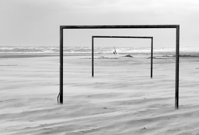 目的才华与 目的才华与