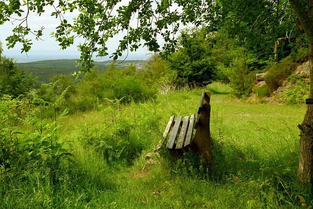 轻他的压力 轻他的压力