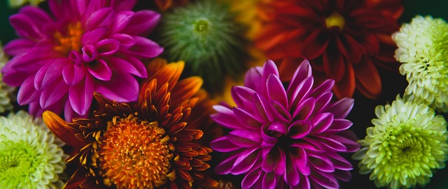 未来继续保 未来继续保