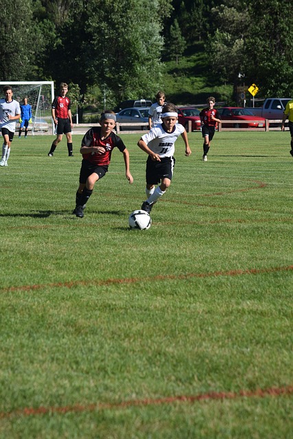 在南基一的 在南基一的