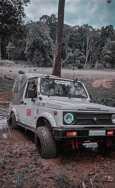 这一纪录 这一纪录