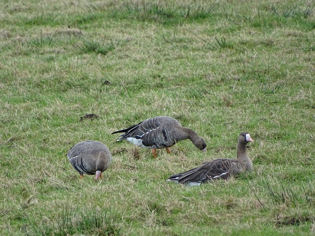 和定位球寻 和定位球寻