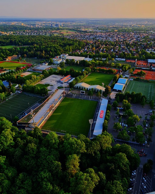 世界杯突尼 世界杯突尼